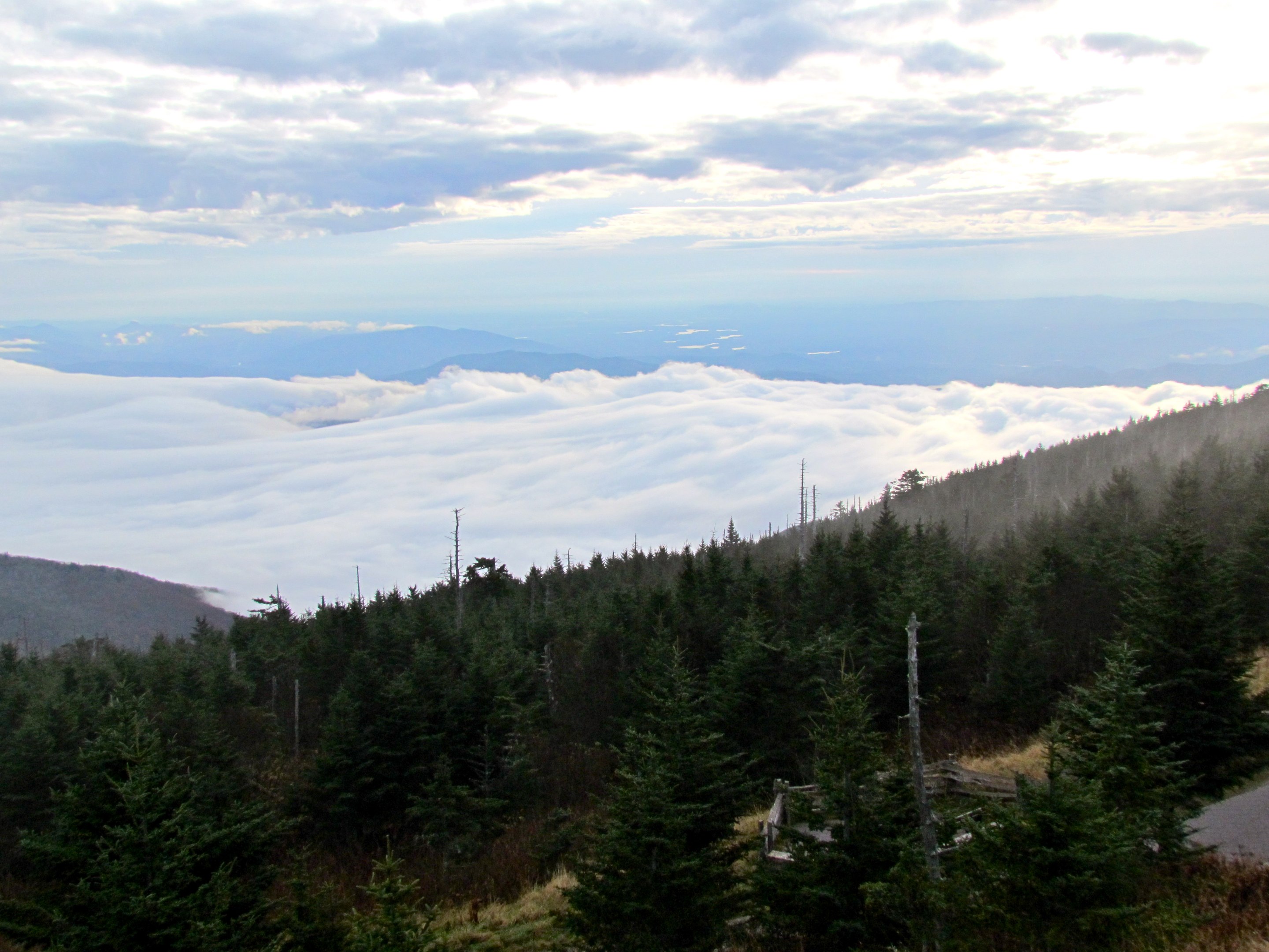 Pisgah National Forest