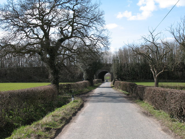 Pottery Lane - Wikipedia