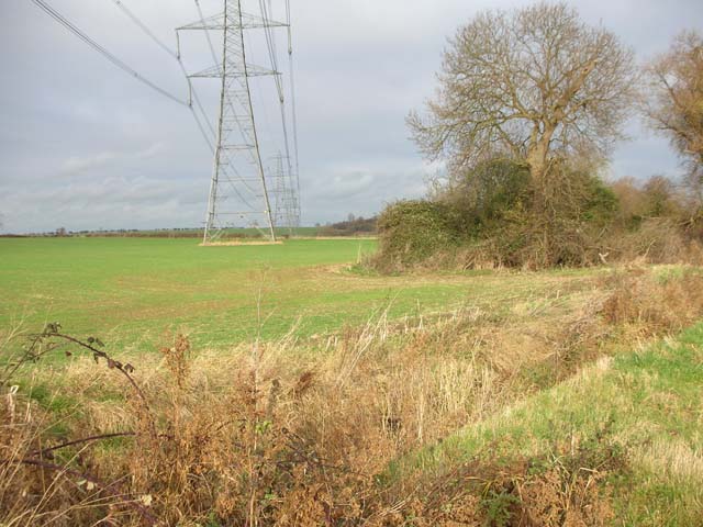 File:Pylon Line Marching North - geograph.org.uk - 624540.jpg