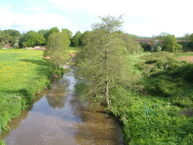 River Otter at Fenny Bridges - geograph.org.uk - 174158