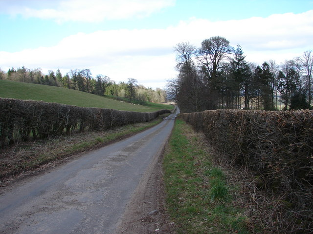 File:Road to Tibbers - geograph.org.uk - 728123.jpg