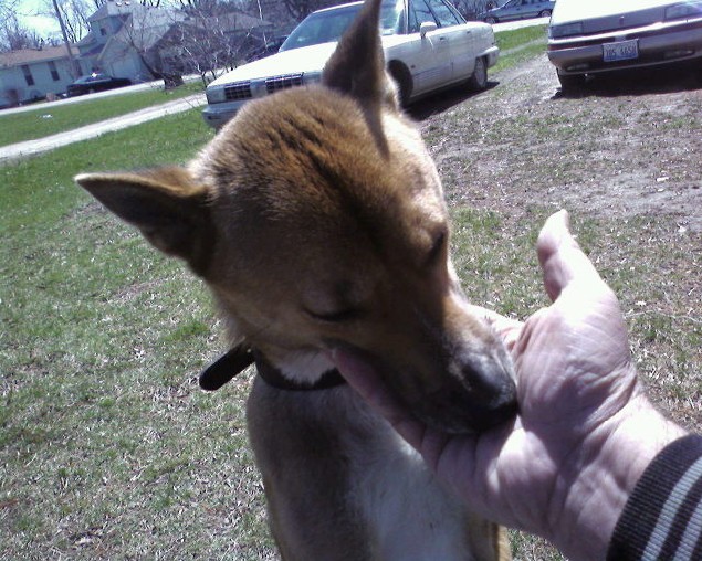 File:Rusty Accepts Treat.jpg