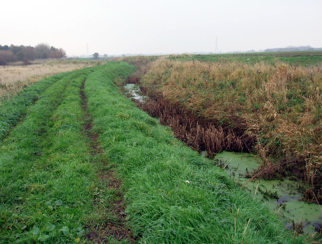 St. Helen's Gutter - geograph.org.uk - 2695480