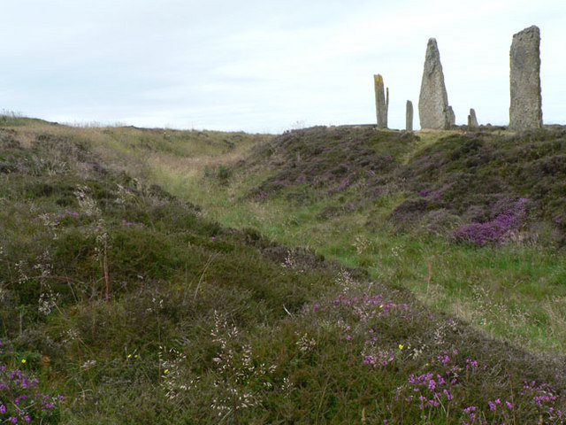 Stones, Ditch and Heather - geograph.org.uk - 1438002