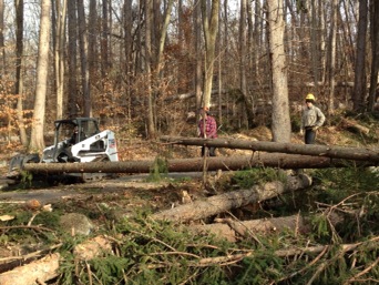 File:Virginia State Park after super storm Sandy72.jpg