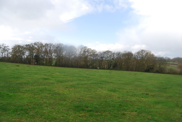 File:A small linear woodland near Eyhorne Street - geograph.org.uk - 1612023.jpg