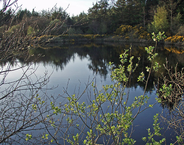 File:Archallagan Pool - geograph.org.uk - 461491.jpg