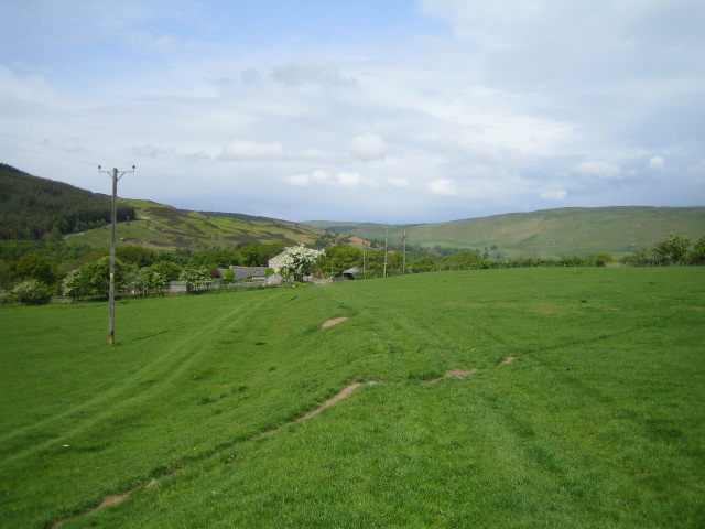 File:Bridleway near Low Alwinton - geograph.org.uk - 456135.jpg