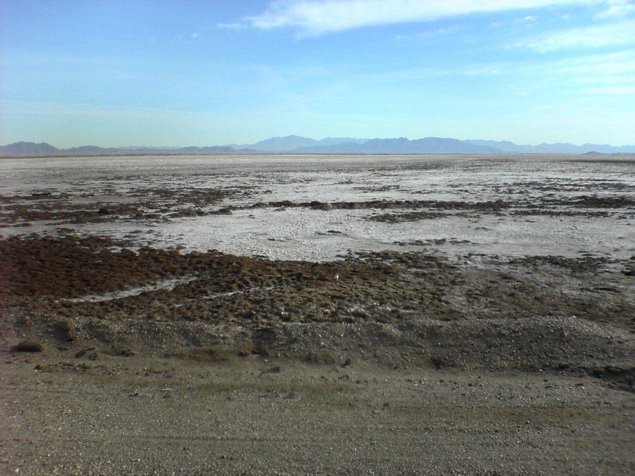 Photo of Bristol Lake