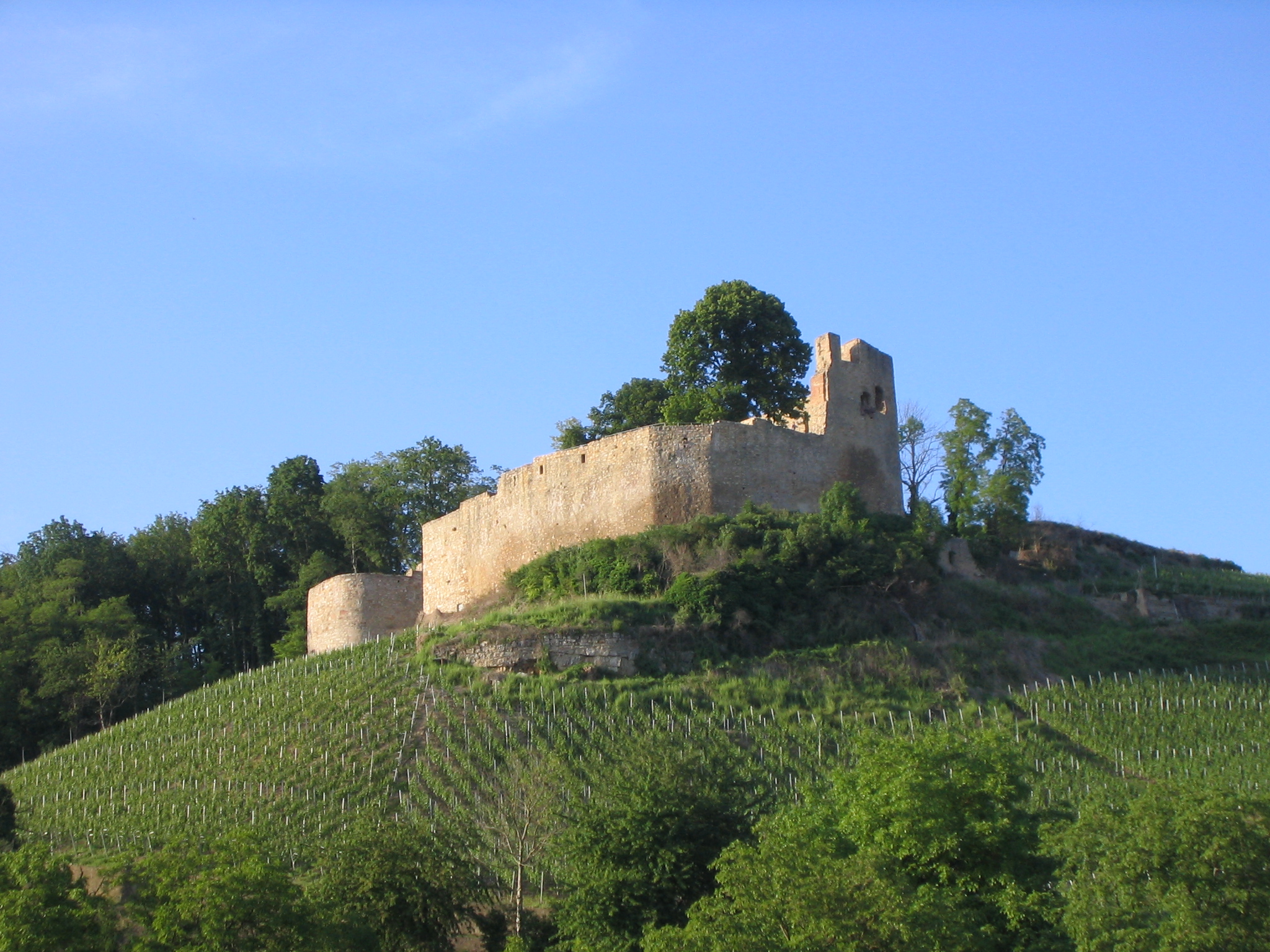 Ruin of Castle Lichteneck in Kenzingen-Hecklingen, Germany