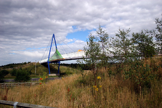 File:Castle Eden Walkway bridge - geograph.org.uk - 35113.jpg