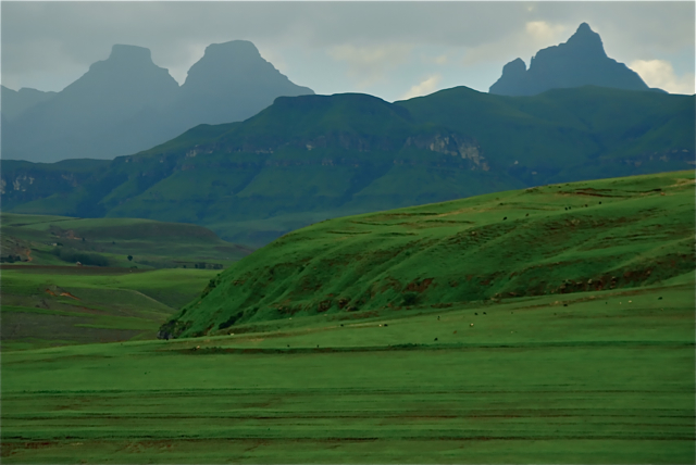 Afrique australe - Drakensberg (chaîne de montagnes) Cathedral_Valley