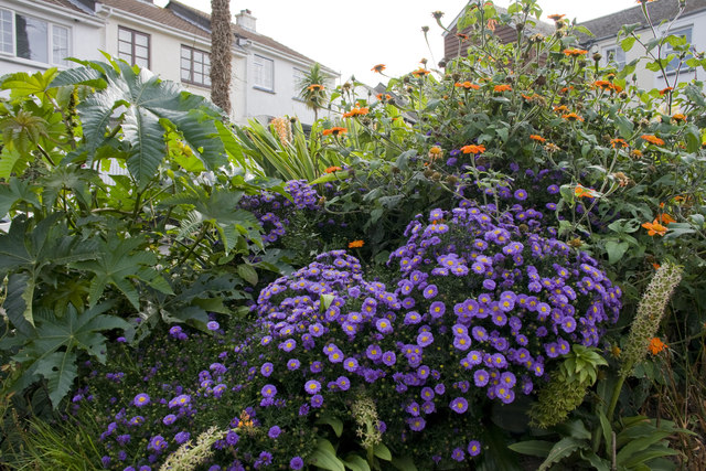 File:Detail of the raised flowerbed - geograph.org.uk - 3142944.jpg