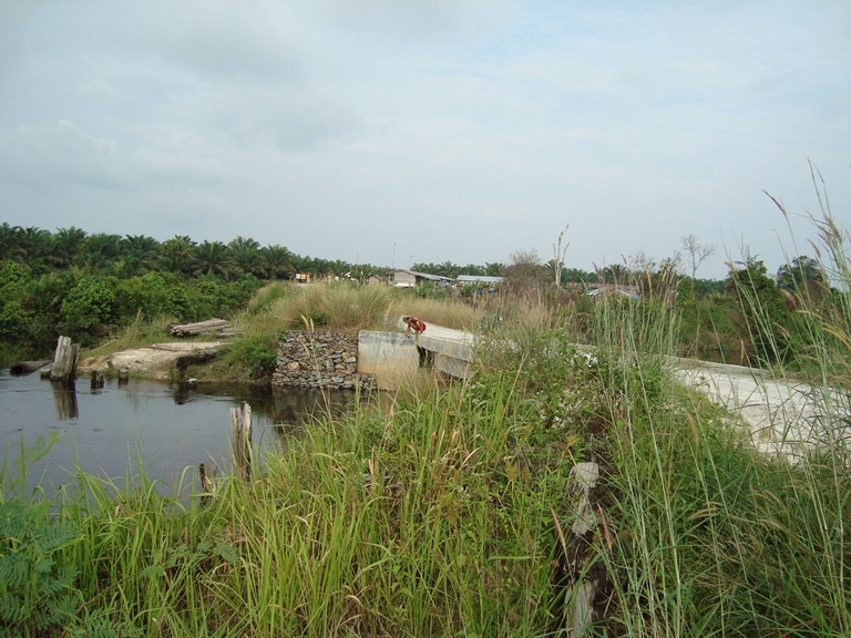 File:Di tepi sungai (136).JPG