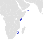 Dwarf Sawshark Range.png