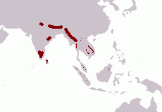 File:Elphas maximus range.png