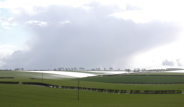 File:Etton Wold - geograph.org.uk - 739744.jpg