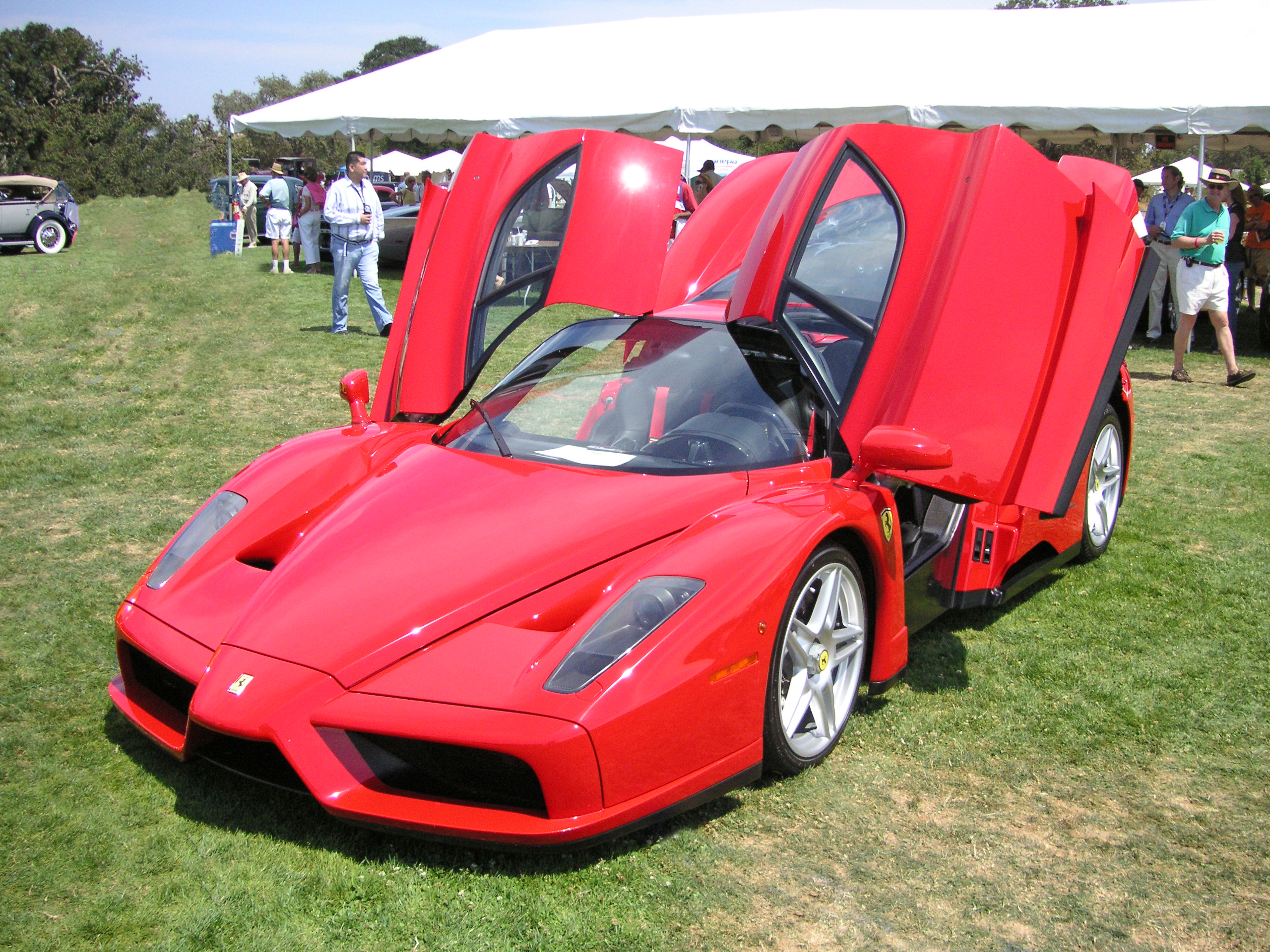 Ferrari_Enzo_Concours