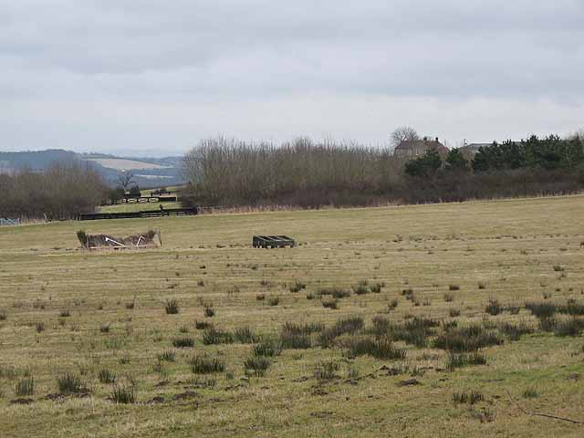 File:Field at Old Iversley Farm - geograph.org.uk - 3372087.jpg