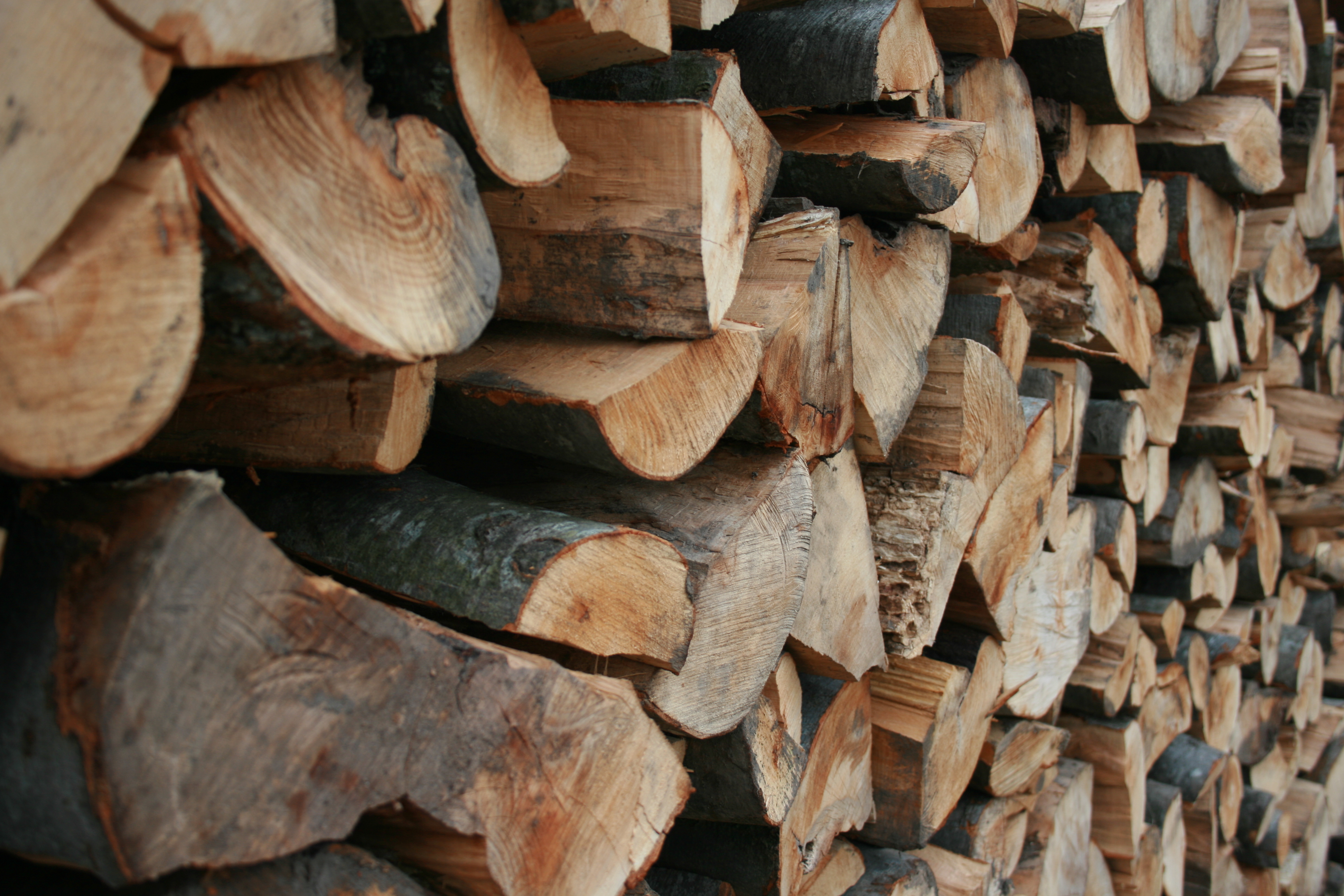 Image result for firewood