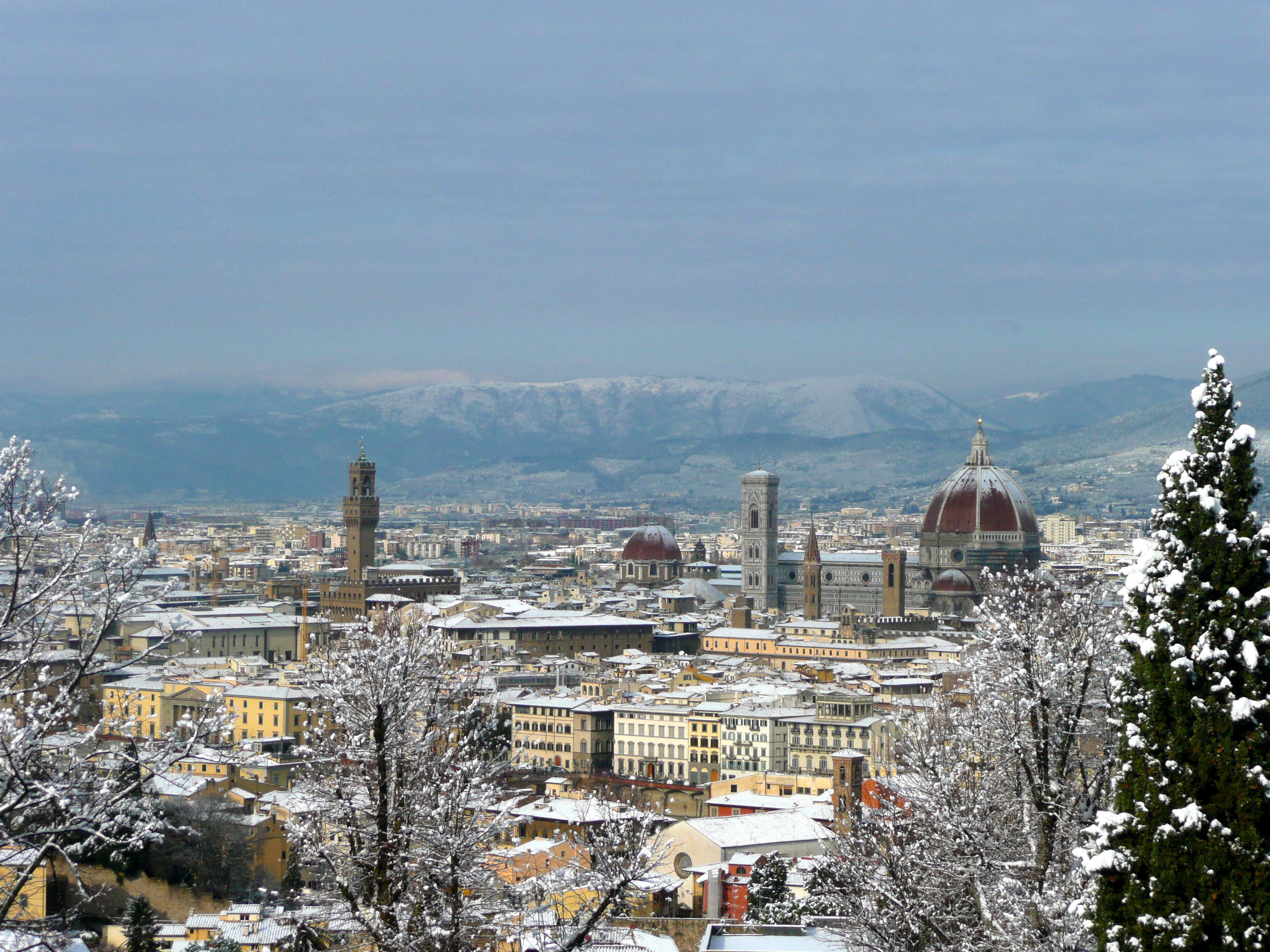 Florence, Italy. 05th Feb, 2023. ACF Fiorentina flag of Artemio