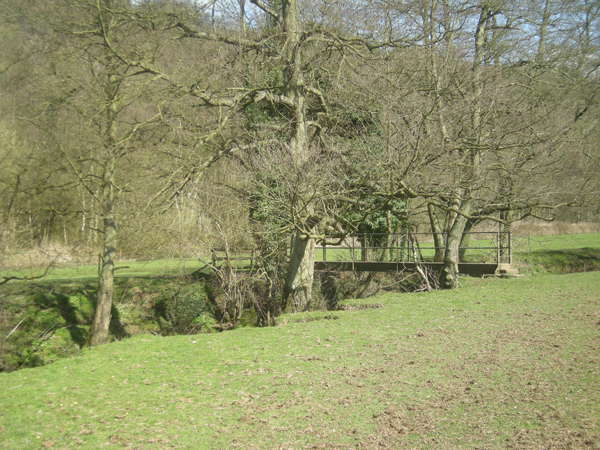 File:Footbridge over the River Churnet - geograph.org.uk - 1226677.jpg