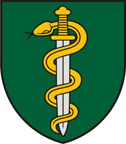 File:Insignia of the MD Jonas Basanavičius Military Medical Service (Lithuania).jpg