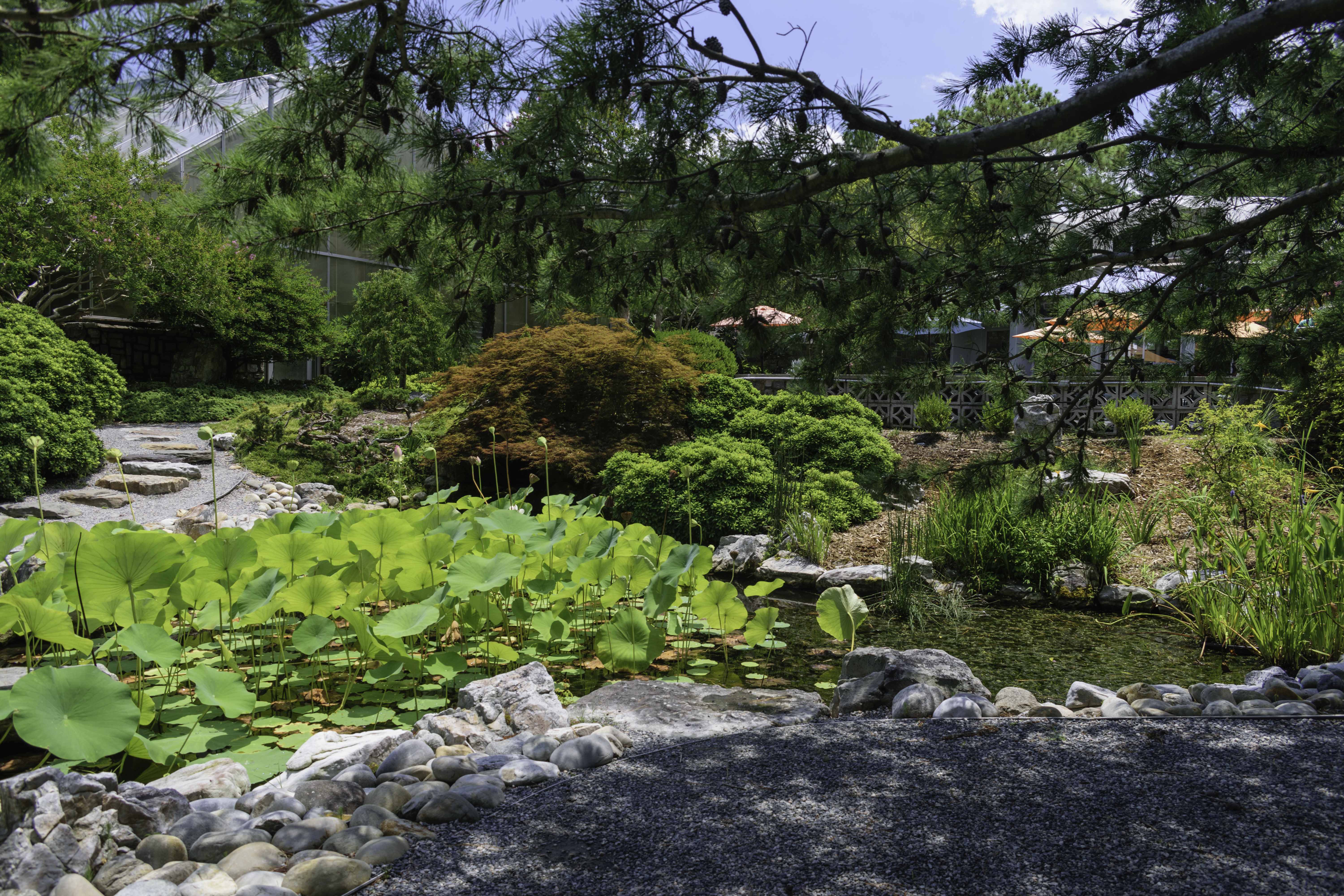 File Japanese Garden Nbg 2 Lr Jpg Wikimedia Commons