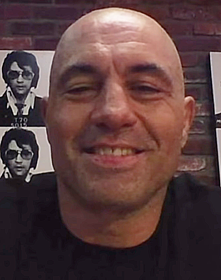 Rogan in 2017