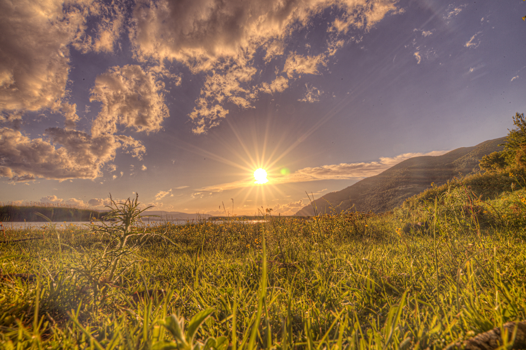 Природа Восход. Природа рассвет. Восход простор. Дикая природа рассвет. Lake fields