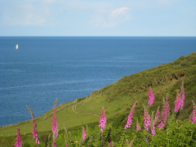 File:Looking towards the coastal footpath on Rosemullion Head - geograph.org.uk - 835840.jpg