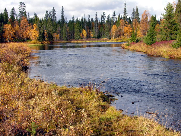 File:Naruskajoki uurinmäki 20050923.jpg