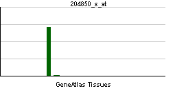 File:PBB GE DCX 204850 s at tn.png