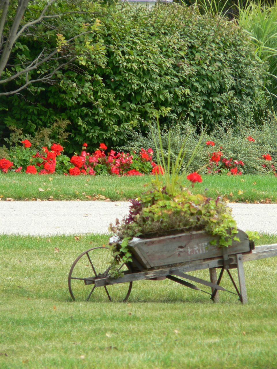 File Roll out the barrow 238421765 .jpg Wikimedia Commons