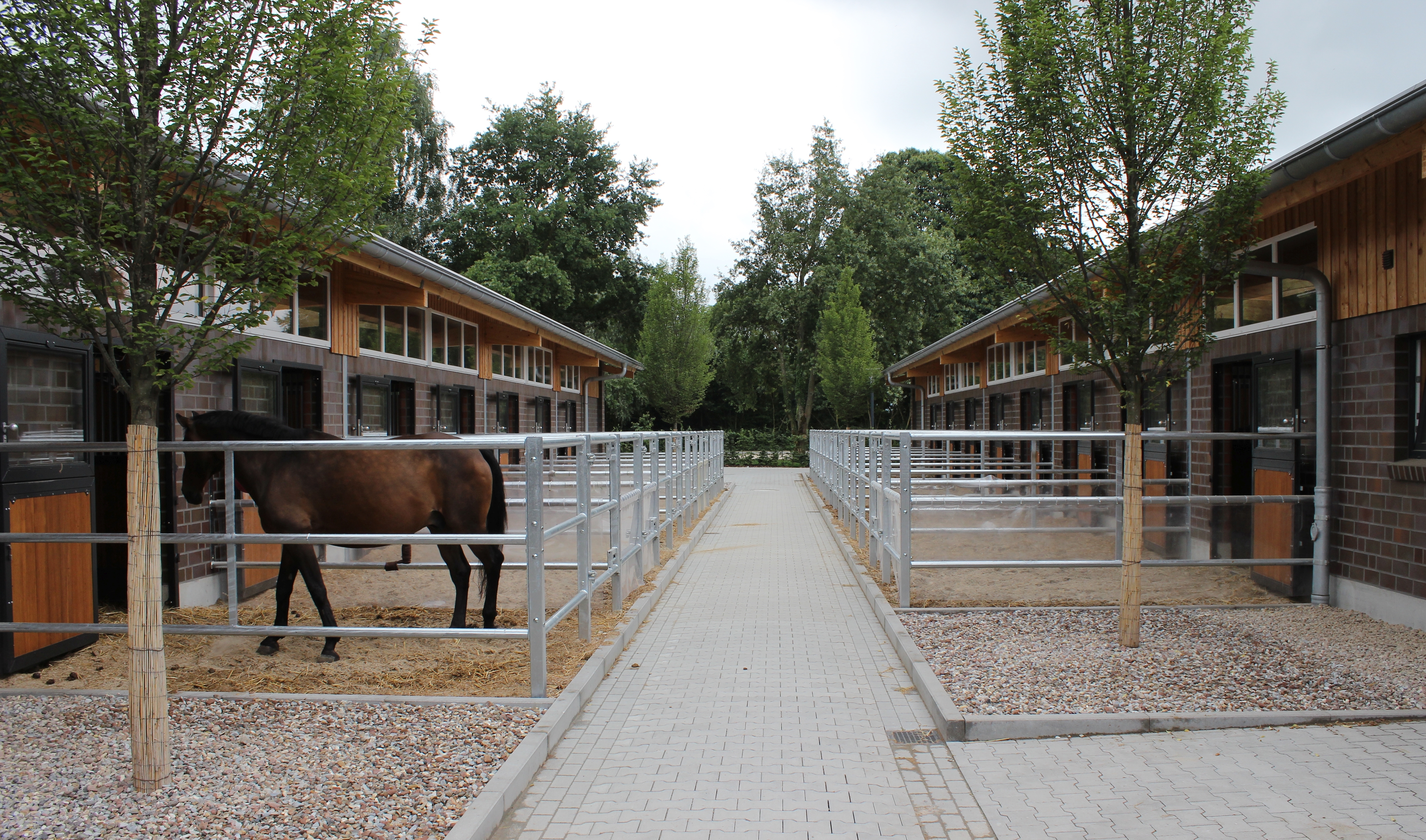 Поселок конюшня. Конюшни Westphalian stables архитектура. Грин ранчо горный Алтай. Монруж Франция конюшни. Конная ферма «лошади Дзержинский».