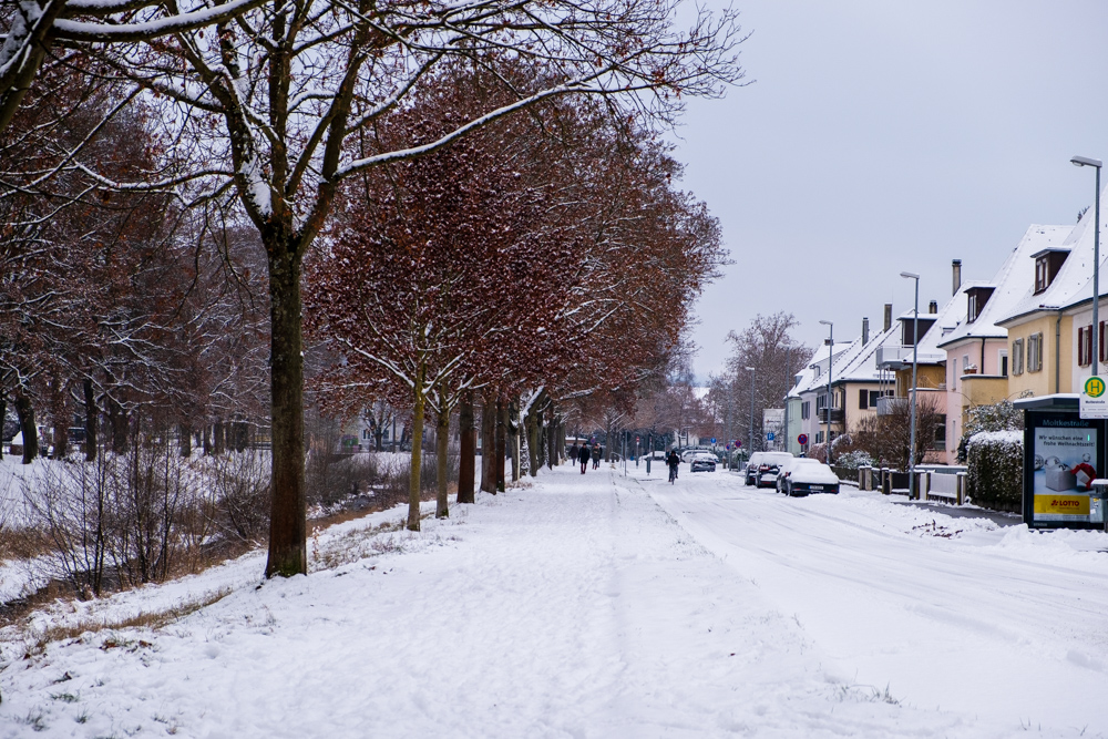 Steinlachallee-mit-Schnee.jpg