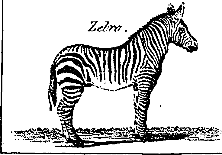 File:The natural history of beasts Fleuron T118446-1.png