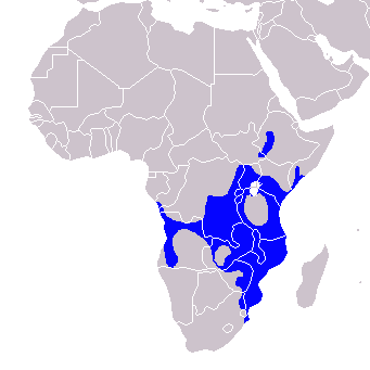 File:Tockus alboterminatus - Distribution.png