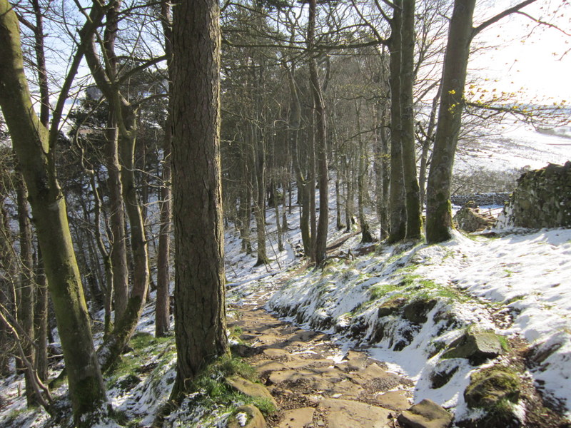 File:Walking towards turret 38A - geograph.org.uk - 2888596.jpg