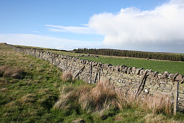 File:Walled Fields - geograph.org.uk - 424934.jpg