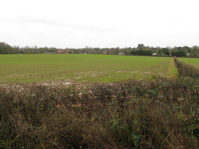 File:Water logged field north of Loxwood - geograph.org.uk - 1613913.jpg