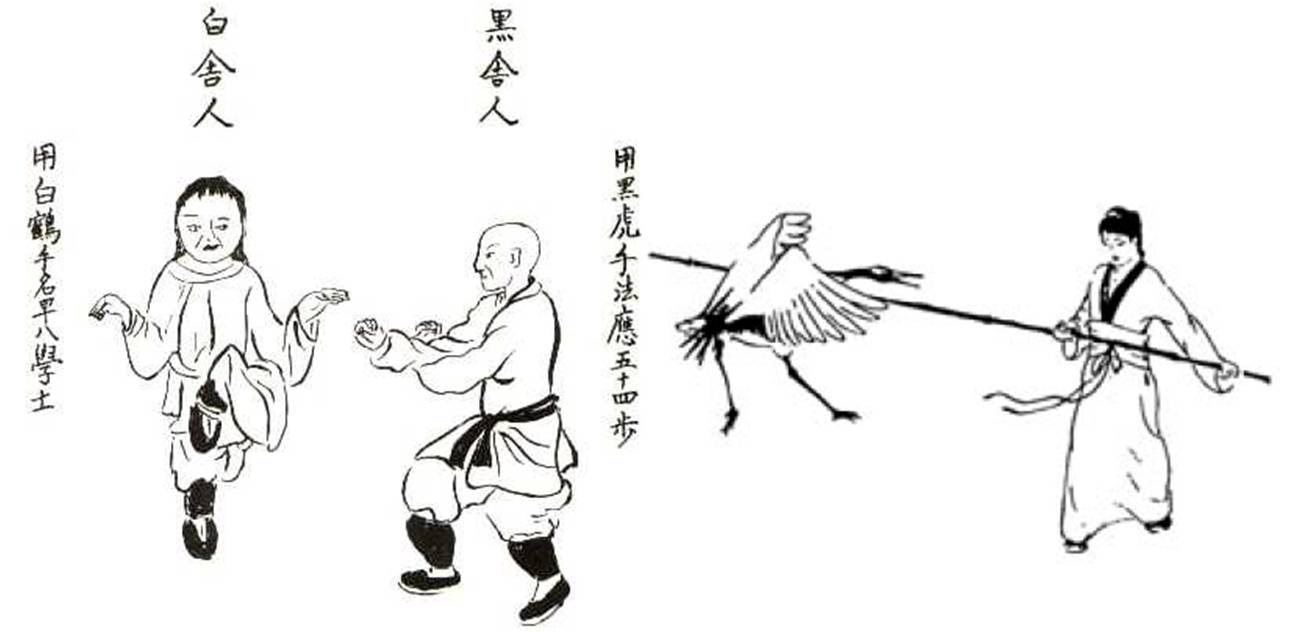 Fujian White Crane - Wikipedia