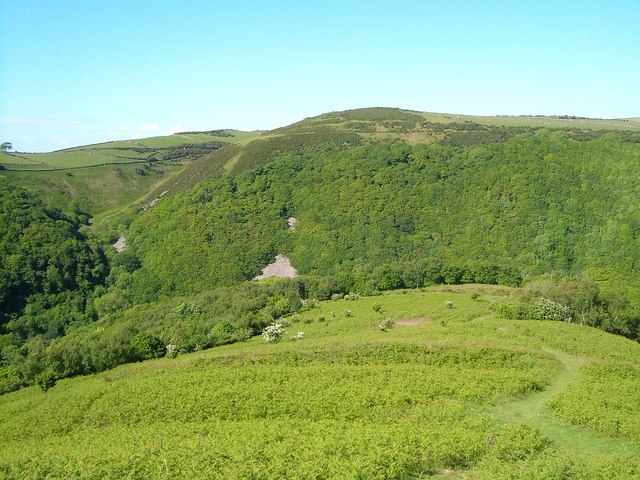 Above Myrtleberry Cleave - geograph.org.uk - 1307116