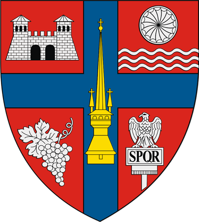 File:Actual Sălaj county CoA.png