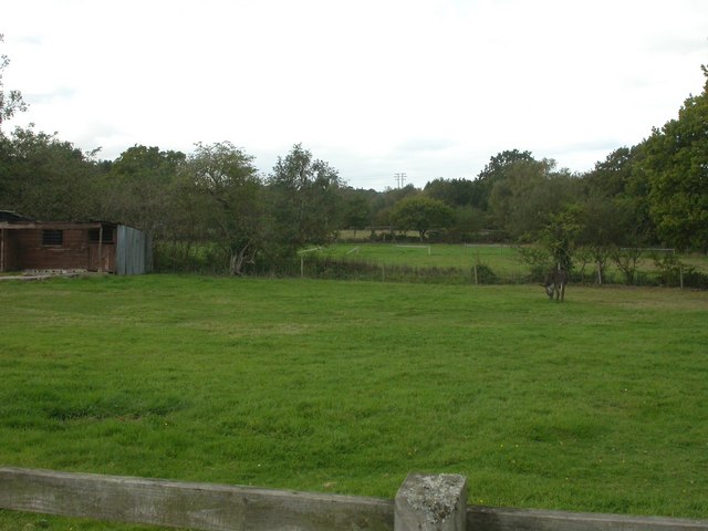 File:Beacon Hill, paddock - geograph.org.uk - 1515910.jpg