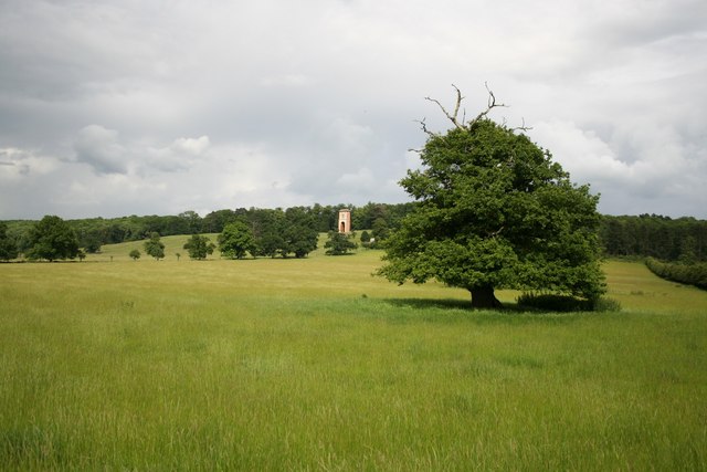 File:Bellmount Tower from parkland - geograph.org.uk - 479780.jpg