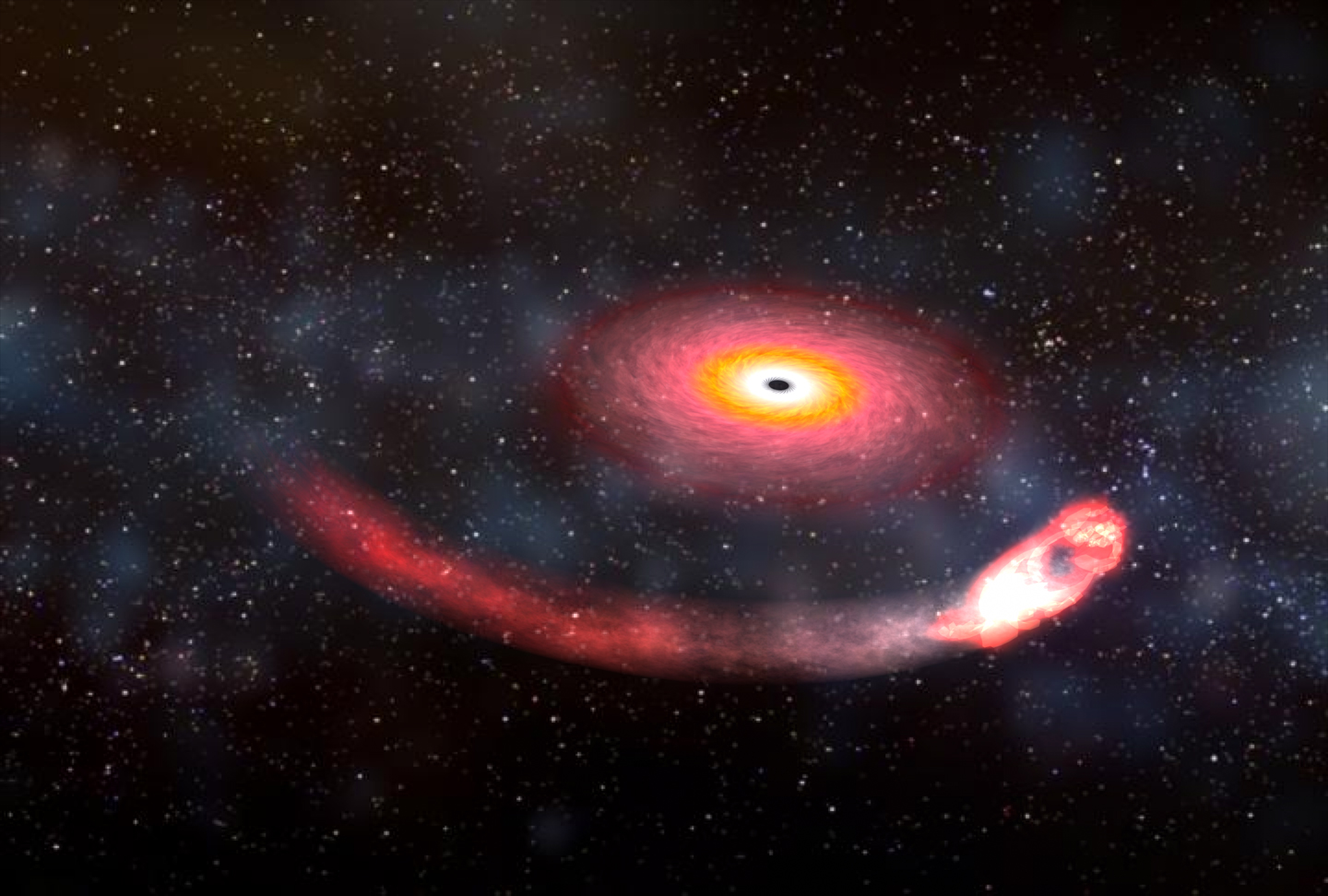 Imagen artística de un hoyo negro devorando a una estrella de neutrones. Credito de imagen: Dana Berry NASA
