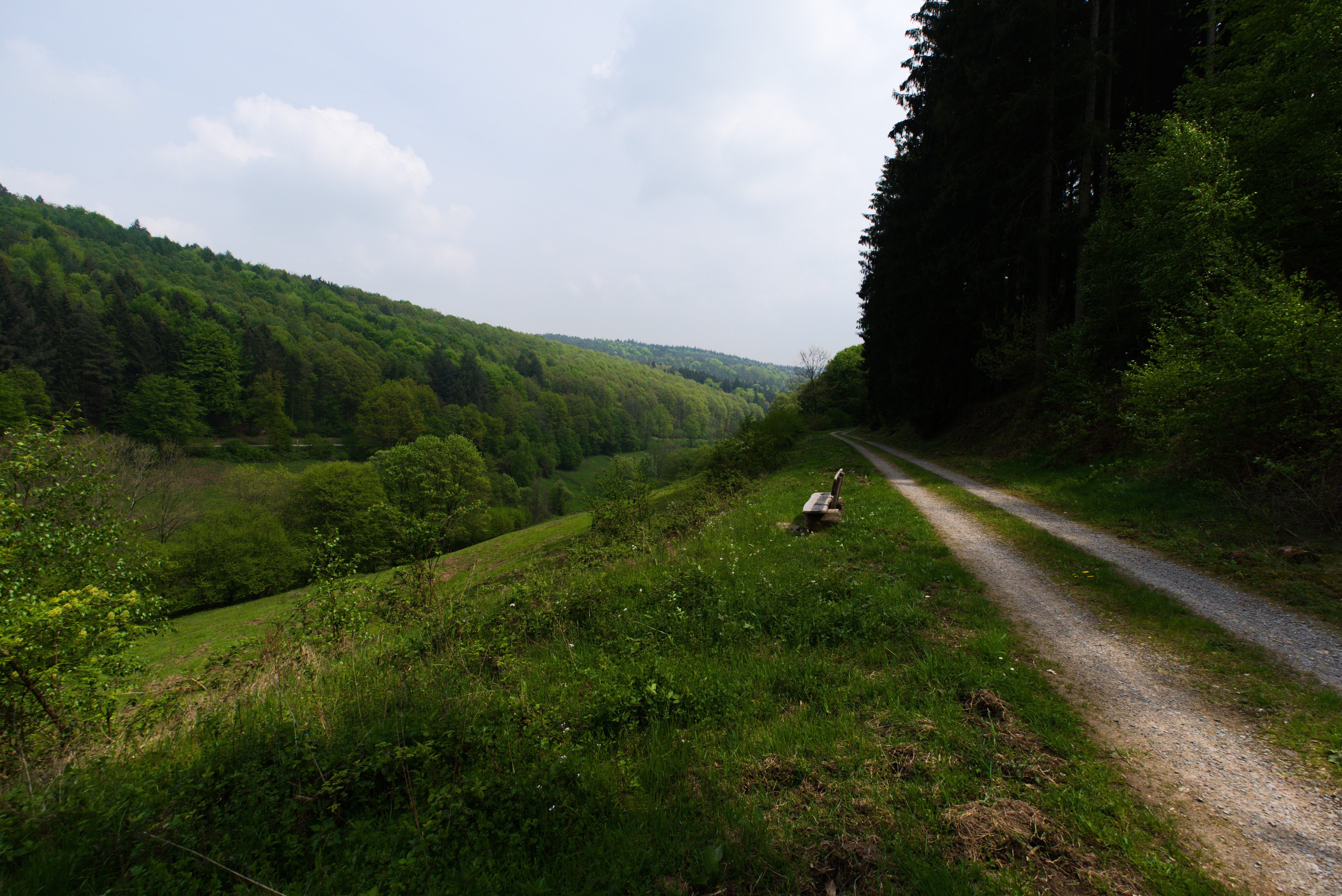 Ein gut ausgebauter Feldweg entlang des Brombacher Tals mit Blickrichtung ins Hainbrunner Tal