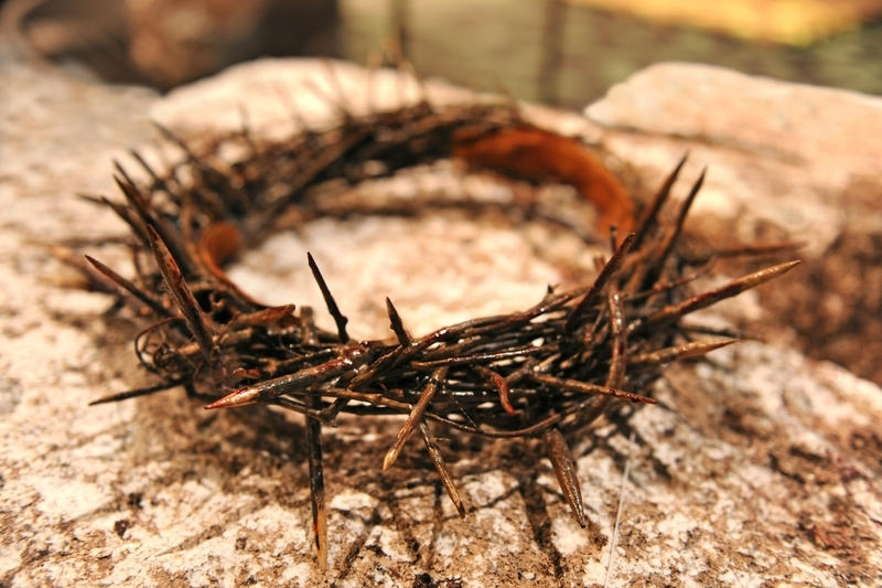 File:Crown of Thorns.png