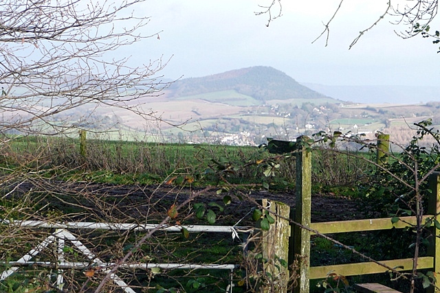 File:East of Hayes Wood - geograph.org.uk - 1140554.jpg